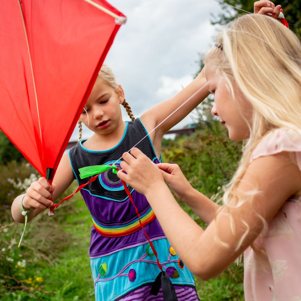 Huckleberry Red Kite (HB11)