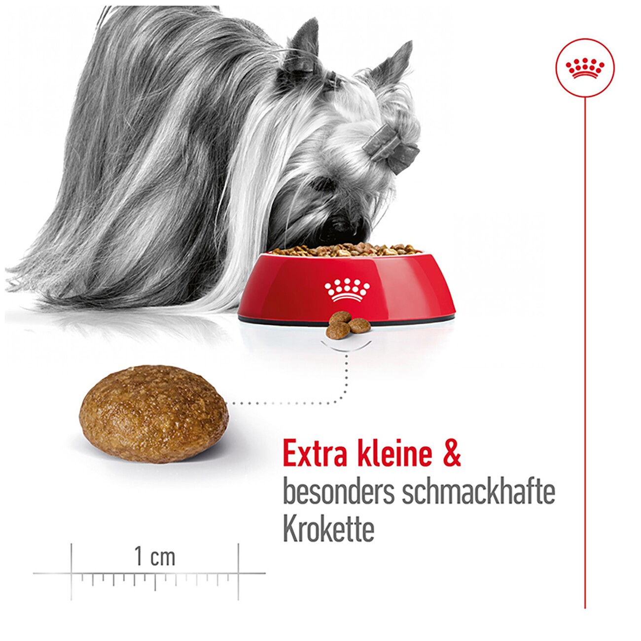 ROYAL CANIN X-Small Adult 8+ 1,5 kg