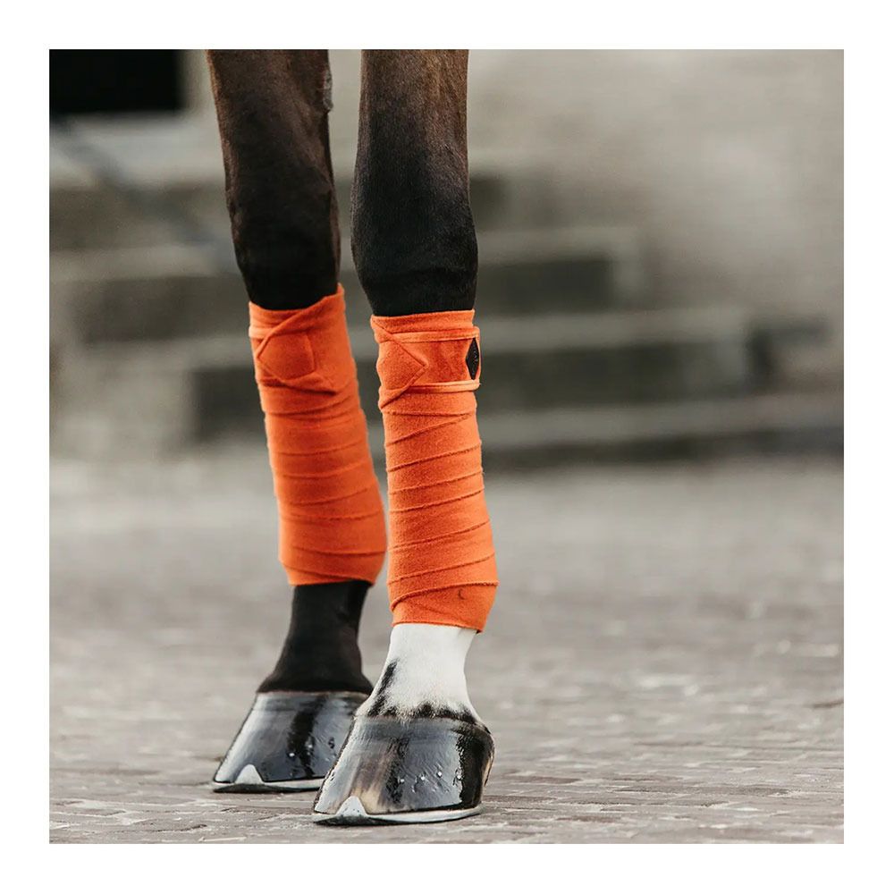 Kentucky VELVET - Bandes de polo x4 orange