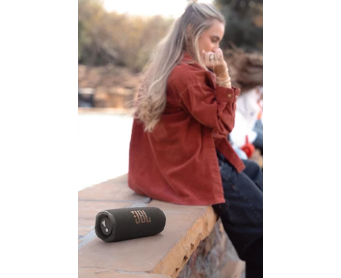 JBL Flip 7 - Black
