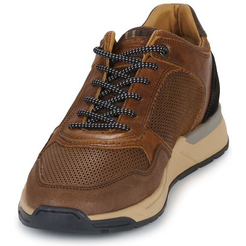 Bullboxer -  - Marron