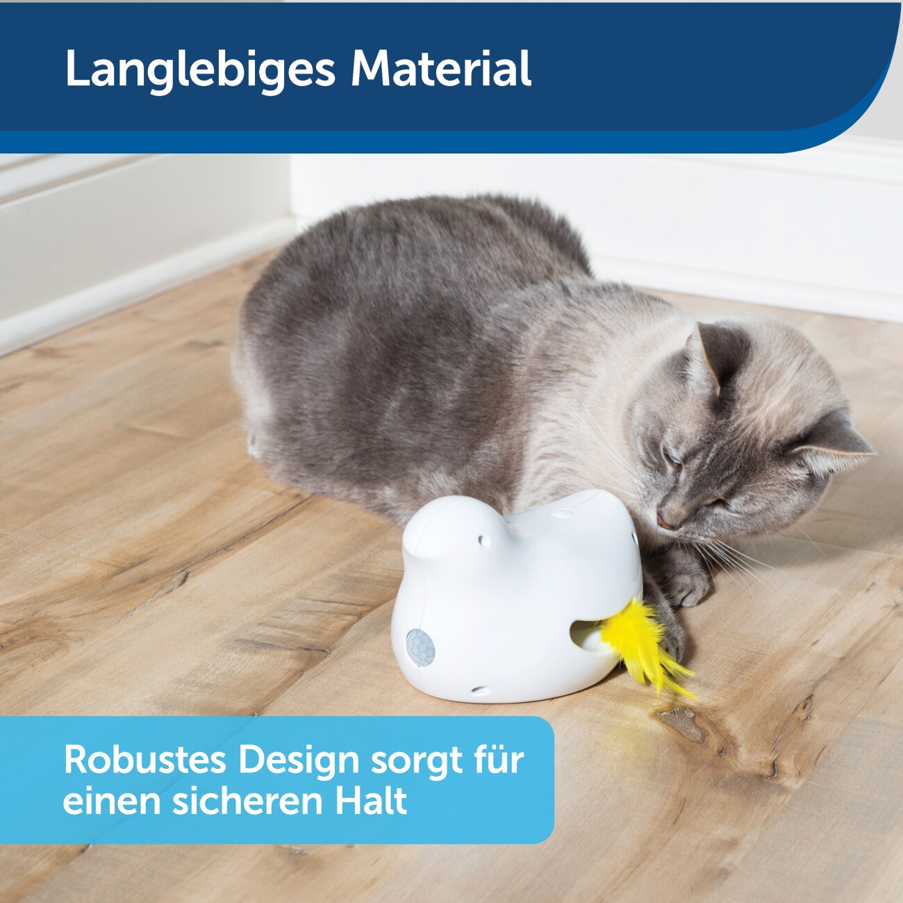 PetSafe Peek-a-Bird Katzenspielzeug