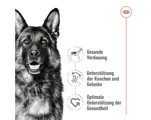 ROYAL CANIN Maxi Adult droog hondenvoer 15 kg