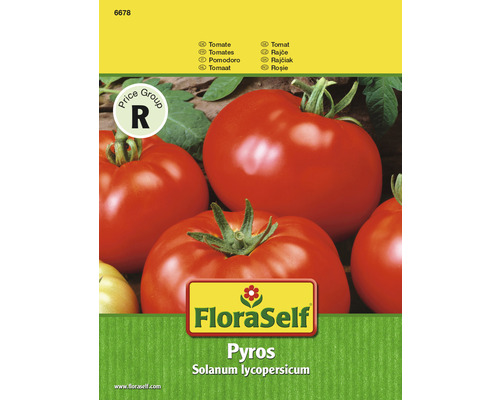 Tomaat 'Pyros' FloraSelf F1 Hybride Groentezaden