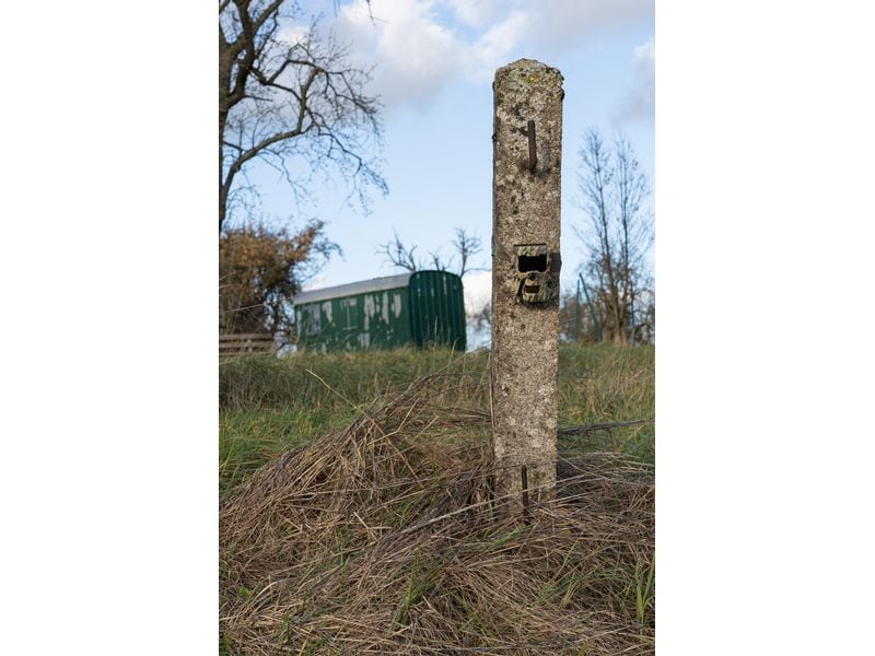 Dörr Kamera Wildkamera SnapShot Mini 5.0 Pro Überwachungskamera für hochauflösende Wildtierbeobachtung und Sicherheitsüberwachung