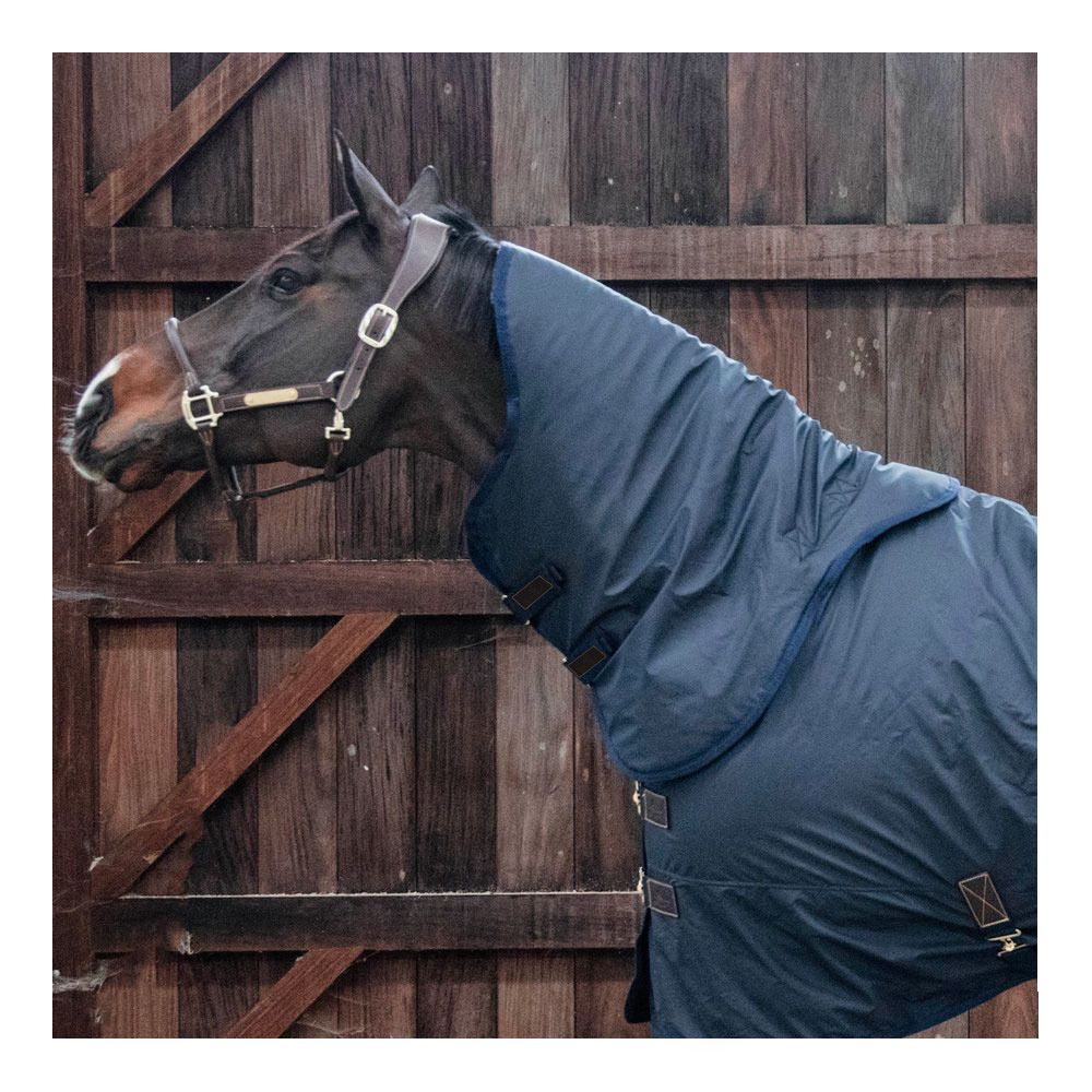 Kentucky ALL WEATHER HURRICANE 0G - Couvre-cou navy
