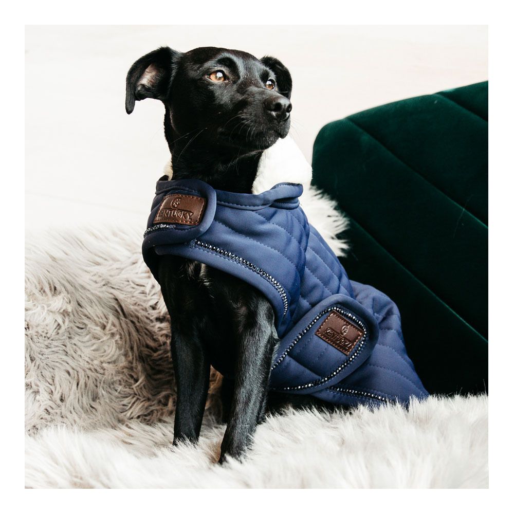 Kentucky PEARLS 160G - Couverture pour chien navy