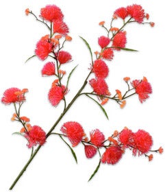 Silk-Ka kunstbloem Eucalyptus rood 104 cm