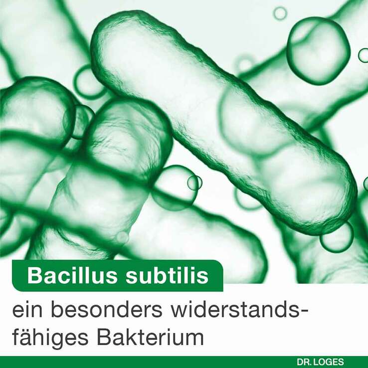 Bioticloges subtilis Kapseln, 30 St