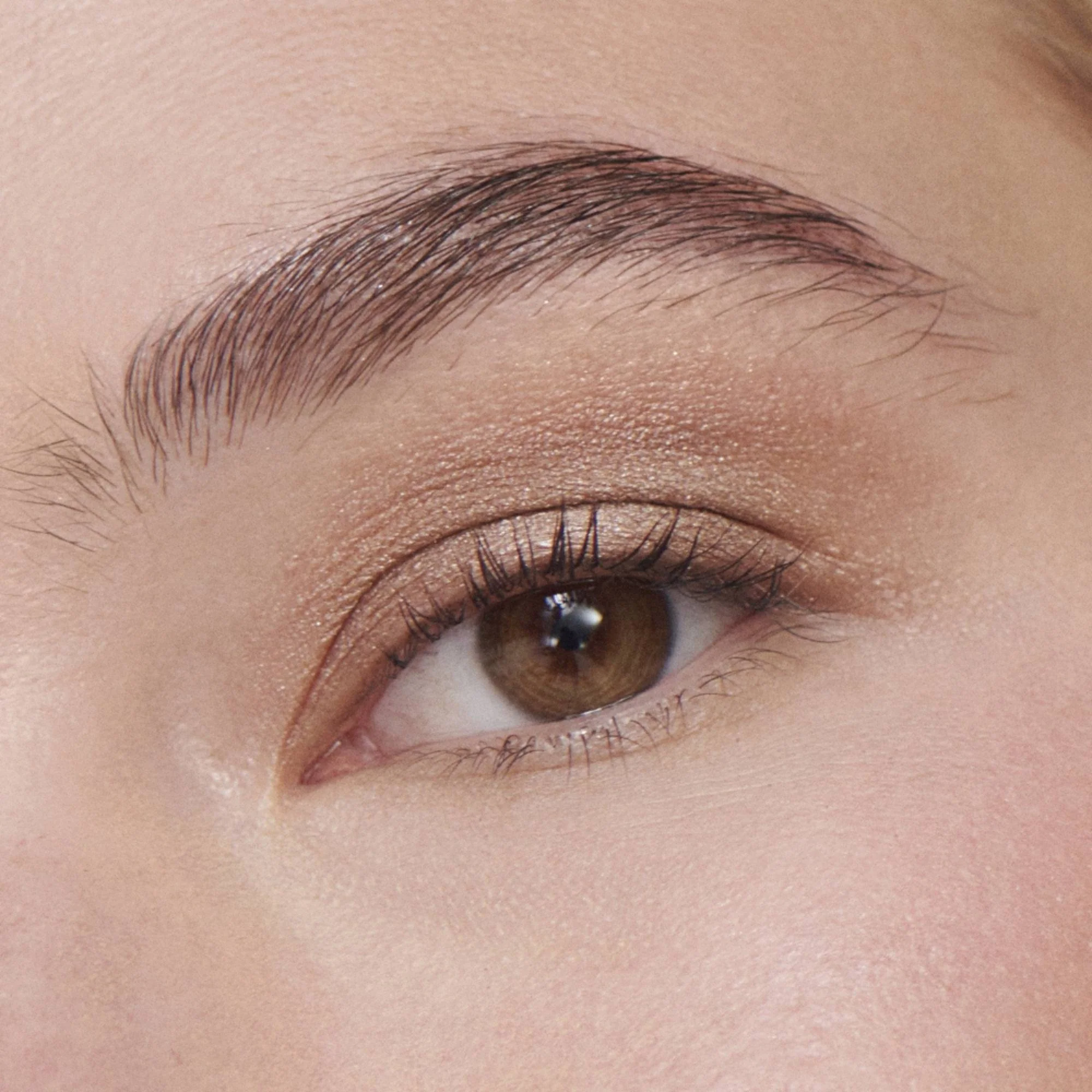 Ilia Liquid Powder Chromatic Eye Tint Fard à Paupières Crème