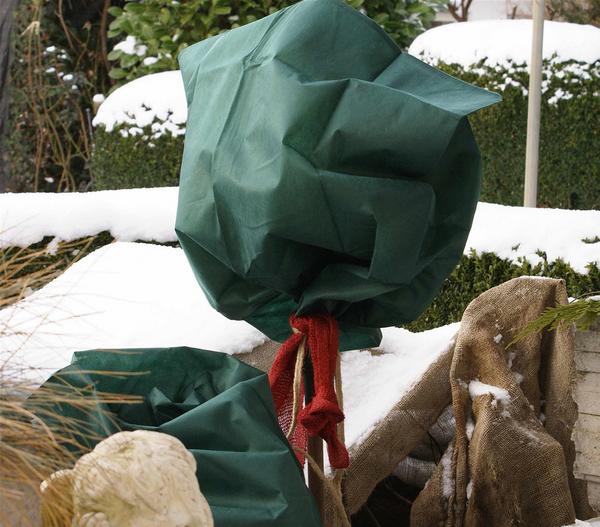 Dehner Winterschutz Rosen-Vlieshaube, 3