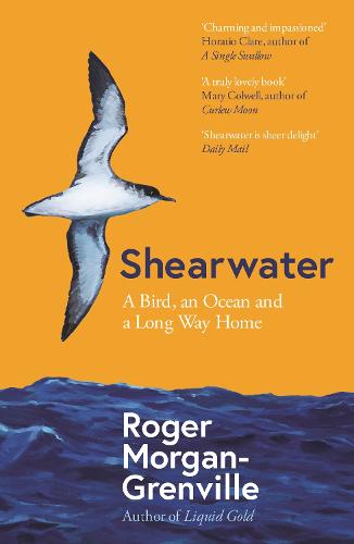 Shearwater: A Bird, an Ocean, and a Long Way Home (Paperback)