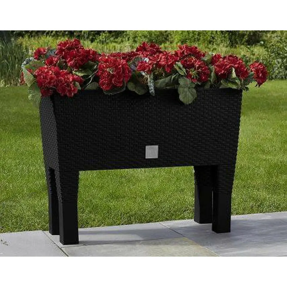 Prosperplast Plantenbak - antraciet - op poten - 80 x 33 x 62 cm