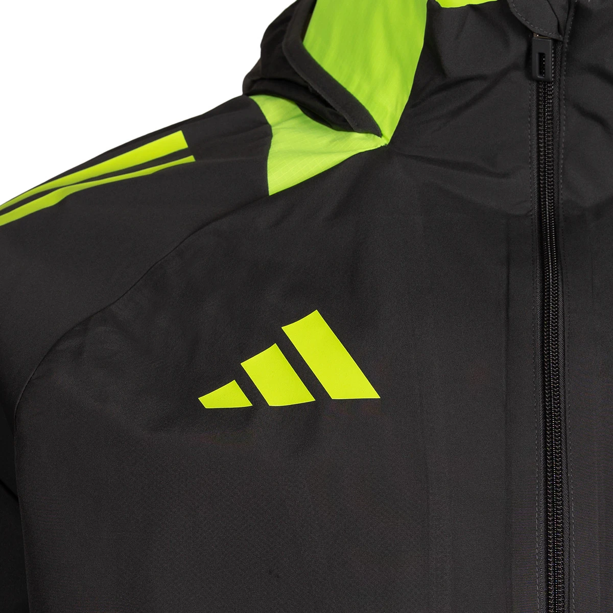 Impermeável adidas Real Zaragoza Training 2024-2025 Treinadores