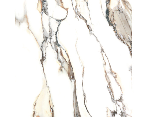 Porseleinen wand- en vloertegel Calacatta 119,7 x 119,7 x 0,8 cm goud gepolijst gerectificeerd