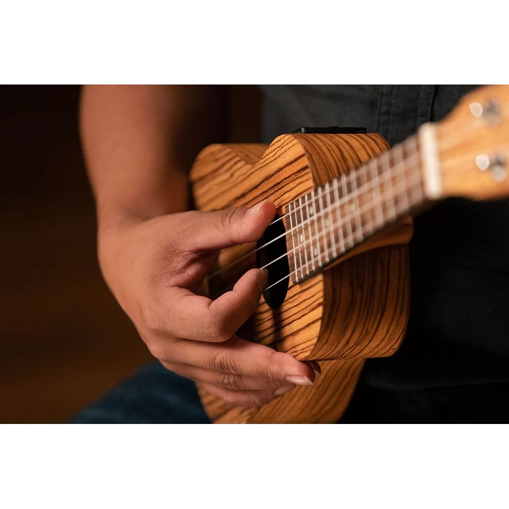 Ortega RFU10ZE Timber Series Natural E/A sopraan ukelele met gigbag