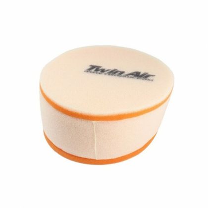 Filtre à air Twin air 155001