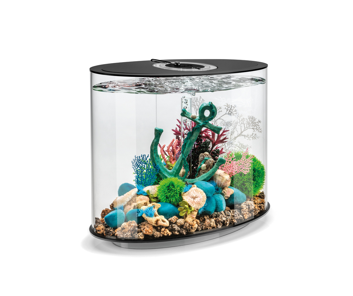BiOrb LOOP 30 MCR Zwart | Aquarium van klein formaat
