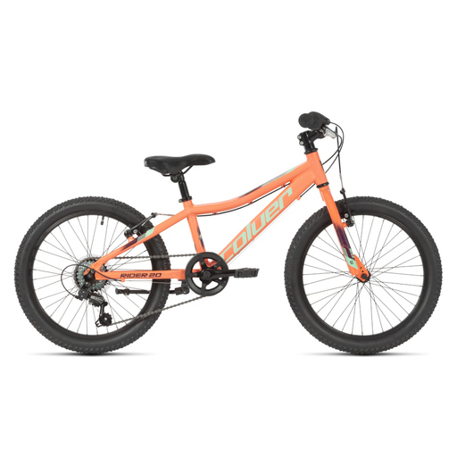 Bicicleta infantil de alumínio Colour Magic 20