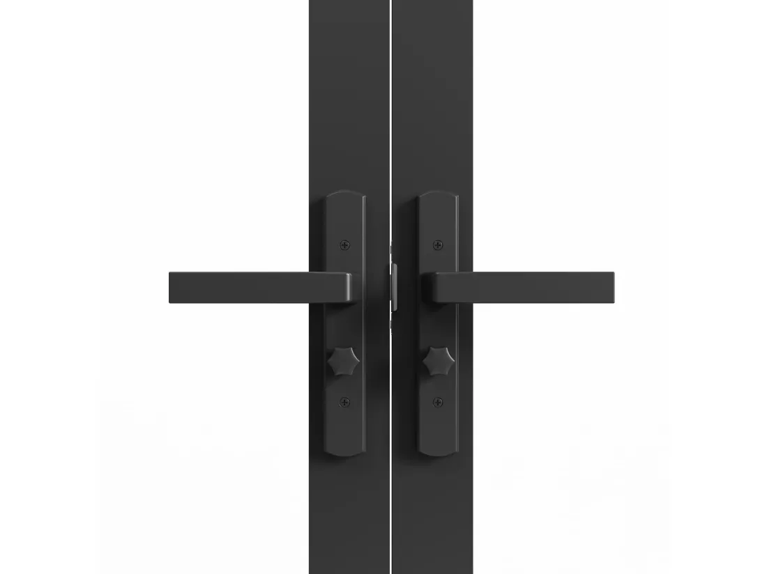 Bloc porte à deux battants en aluminium et verre dépoli - 2 x H204 x L73 cm - Noir - SEROTO