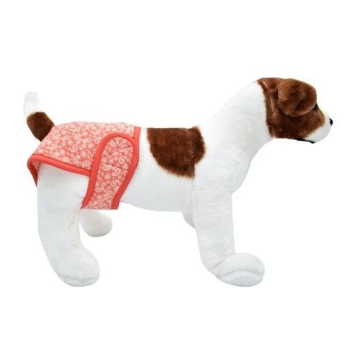 Calcinhas laranja para cachorros leais