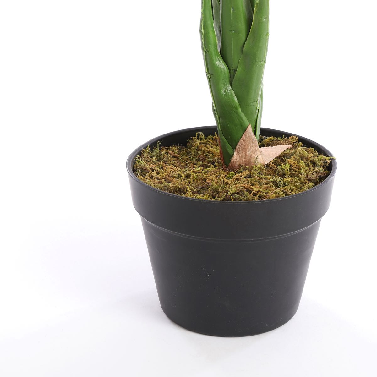 Taro artificielle vert en pot h60
