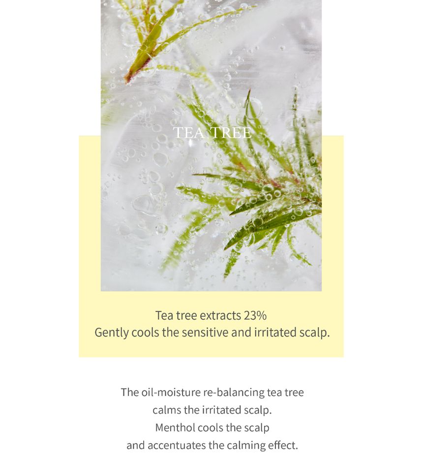 STEAMBASE - Tea Tree Scalp Water Scaler