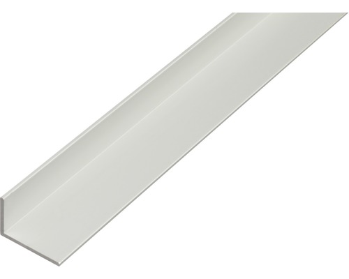 Aluminium hoekprofiel, zilver, 40x10x2 mm, 1 m