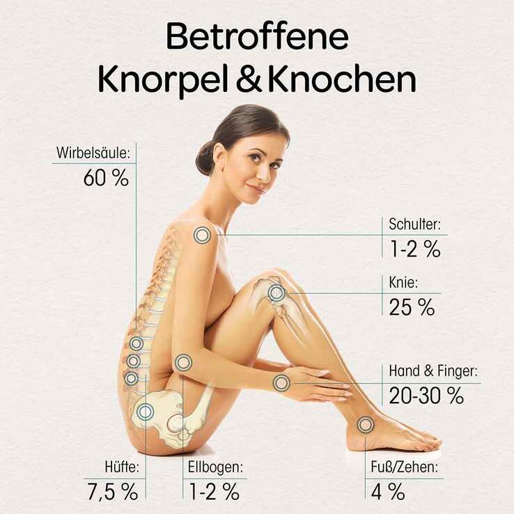 Dr. Böhm Knorpel & Knochen Tabletten, 60 St