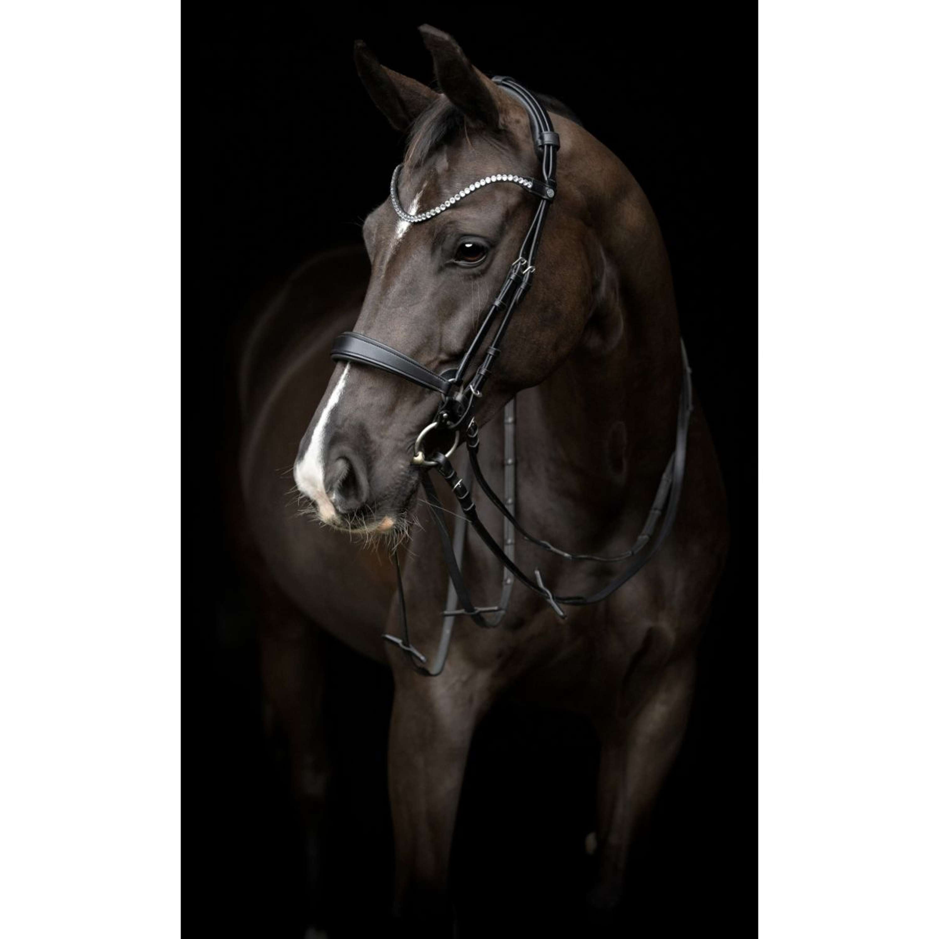 Catago Frontriem Gentle Zwart