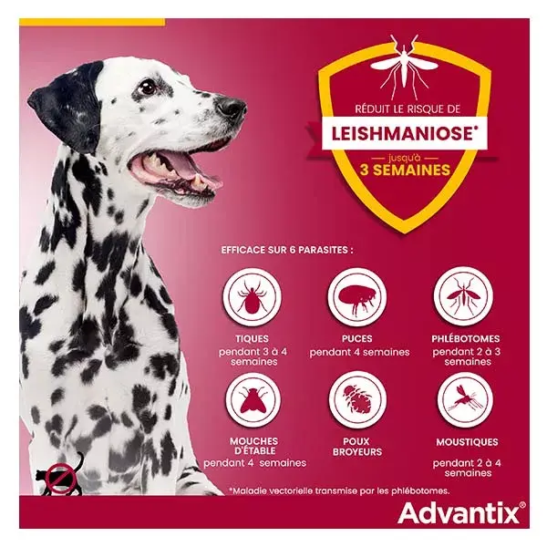 Solução Advantix para o controle de pulgas e parasitas em cães de grande porte (40-60 kg) - 4 pipetas