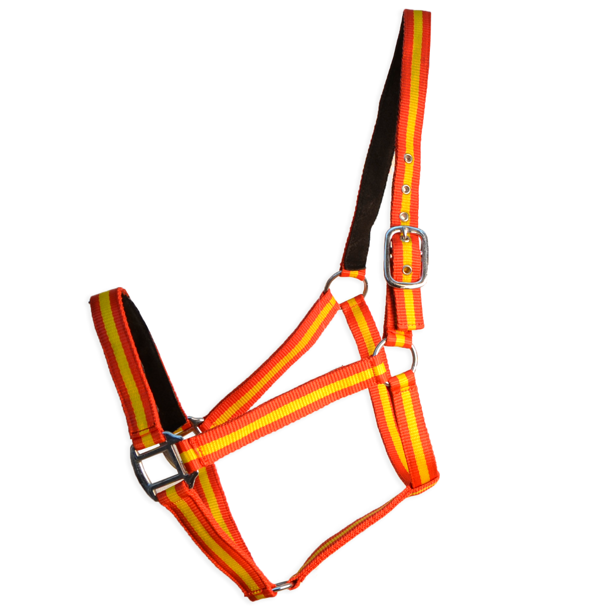 Cabresto duplo reforçado em nylon com ferragens em PVC e cromadas, disponível em várias cores e tamanhos.