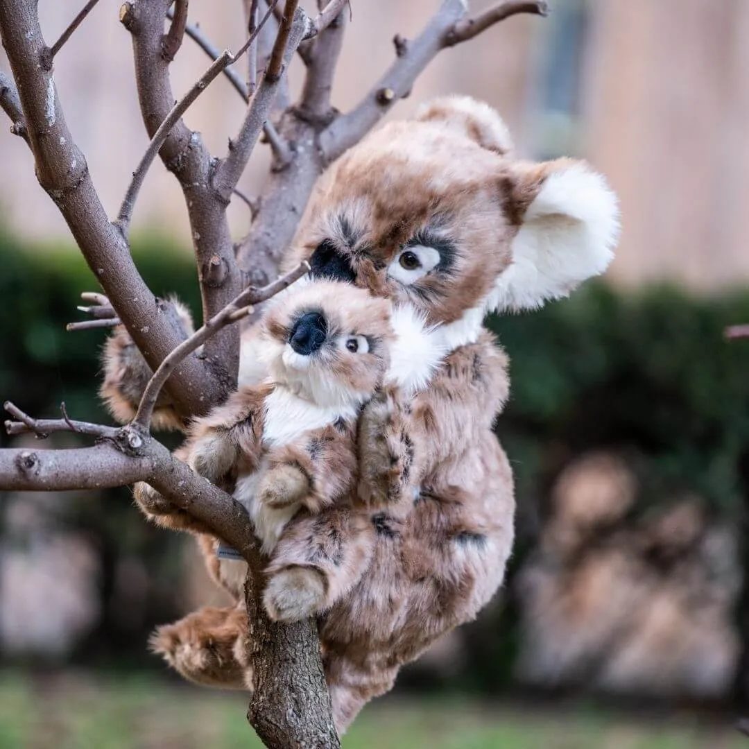 Ma peluche Koala Félicien La Pelucherie