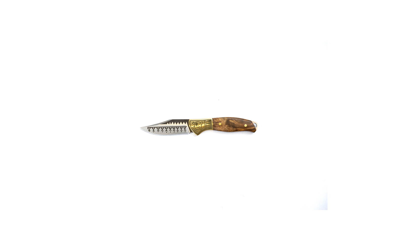 Homeys Steakmesser 4er Set 19,8 cm silber/gold