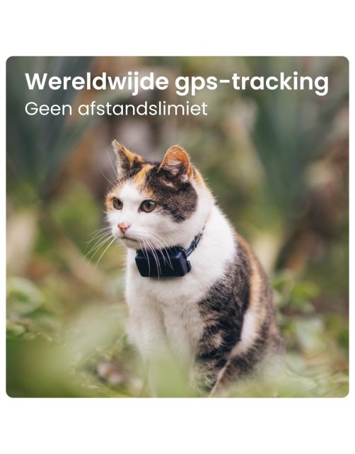 Tractive Gps Cat Mini - Kattenlocatievinder - 55x28x17 mm Donkerblauw Geschikt Voor Katten > 3 Kg