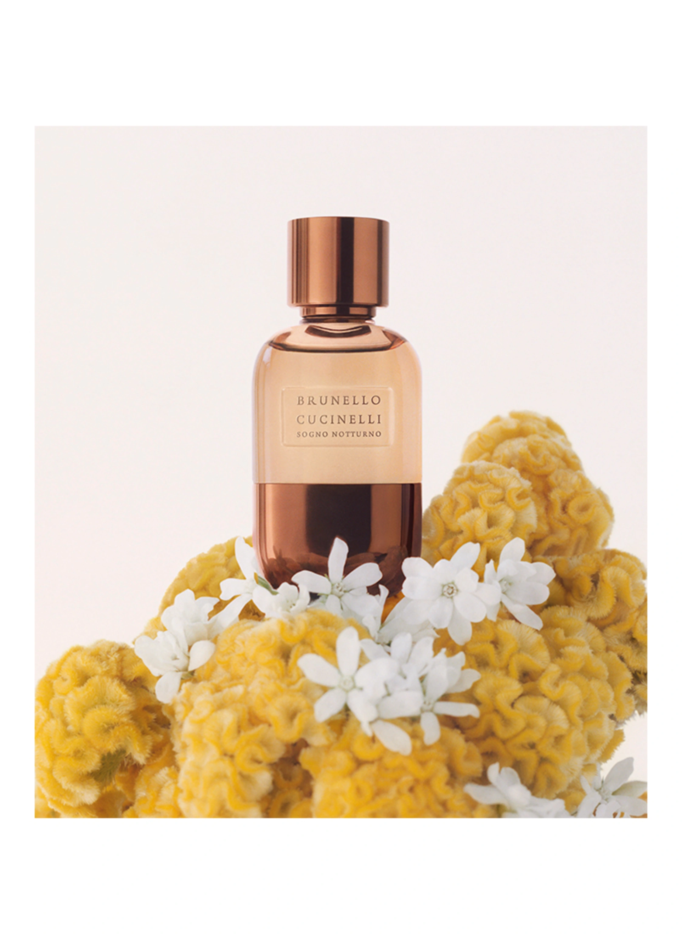 BRUNELLO CUCINELLI FRAGRANCES SOGNO NOTTURNO
