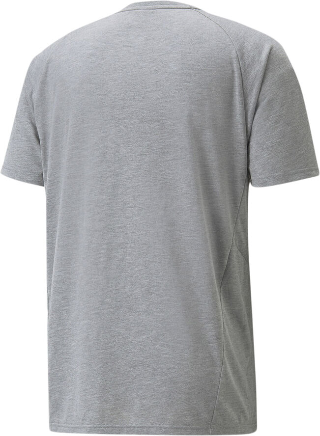 Puma Neymar Jr Evostripe trænings T-shirt Grå