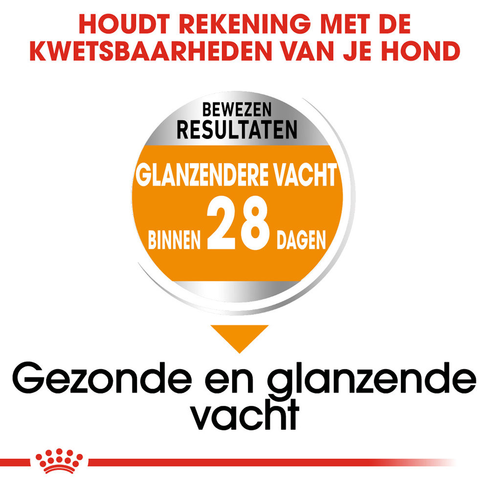 Royal Canin Mini Coat Care - Hondenvoer