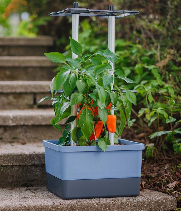 Gusta Garden Chili-Pflanztopf Charly Chili,