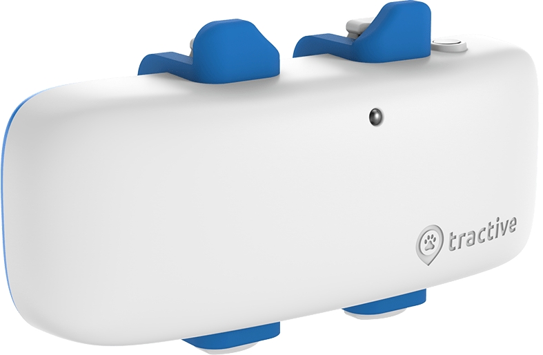 Tractive GPS Dog 4 Tracker for Dogs with Activity Tracking | EXCL. ABO