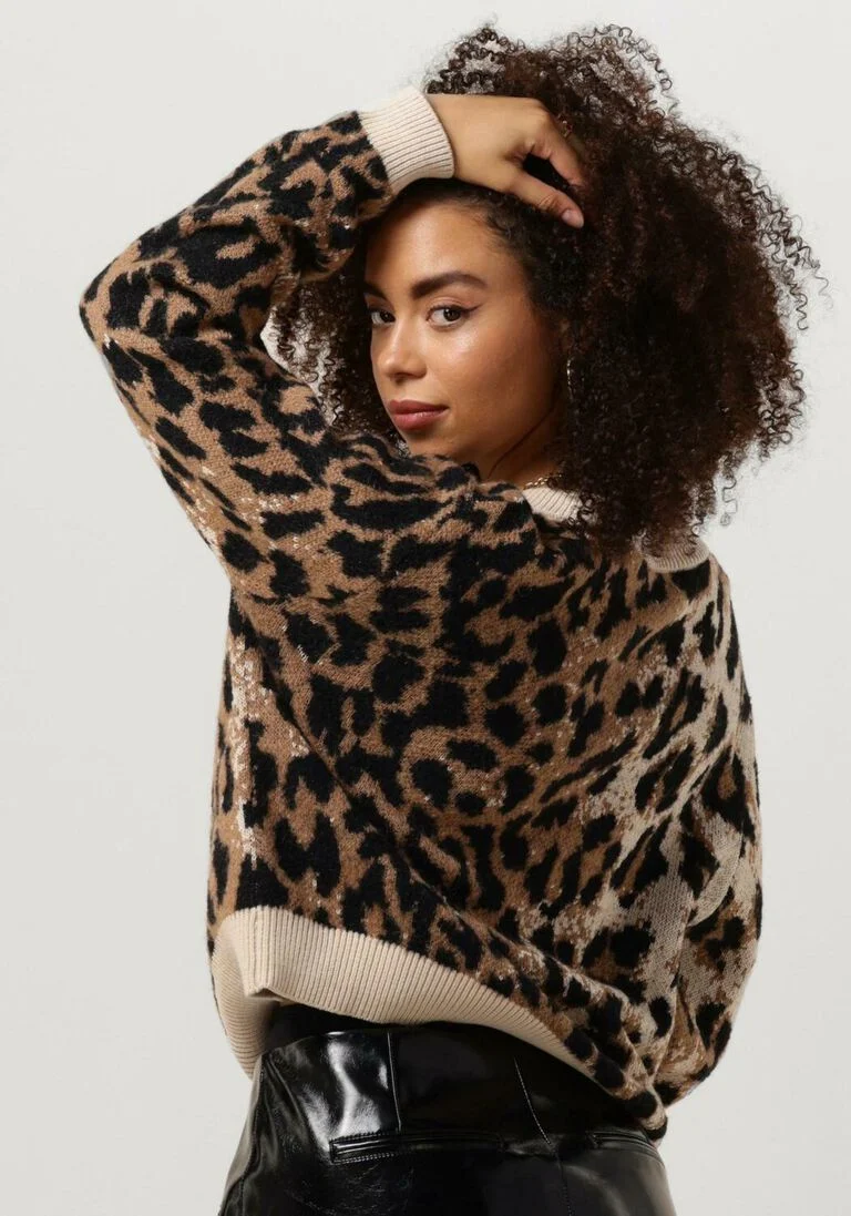 CATWALK JUNKIE bruine catwalk junkie sweater kn dover