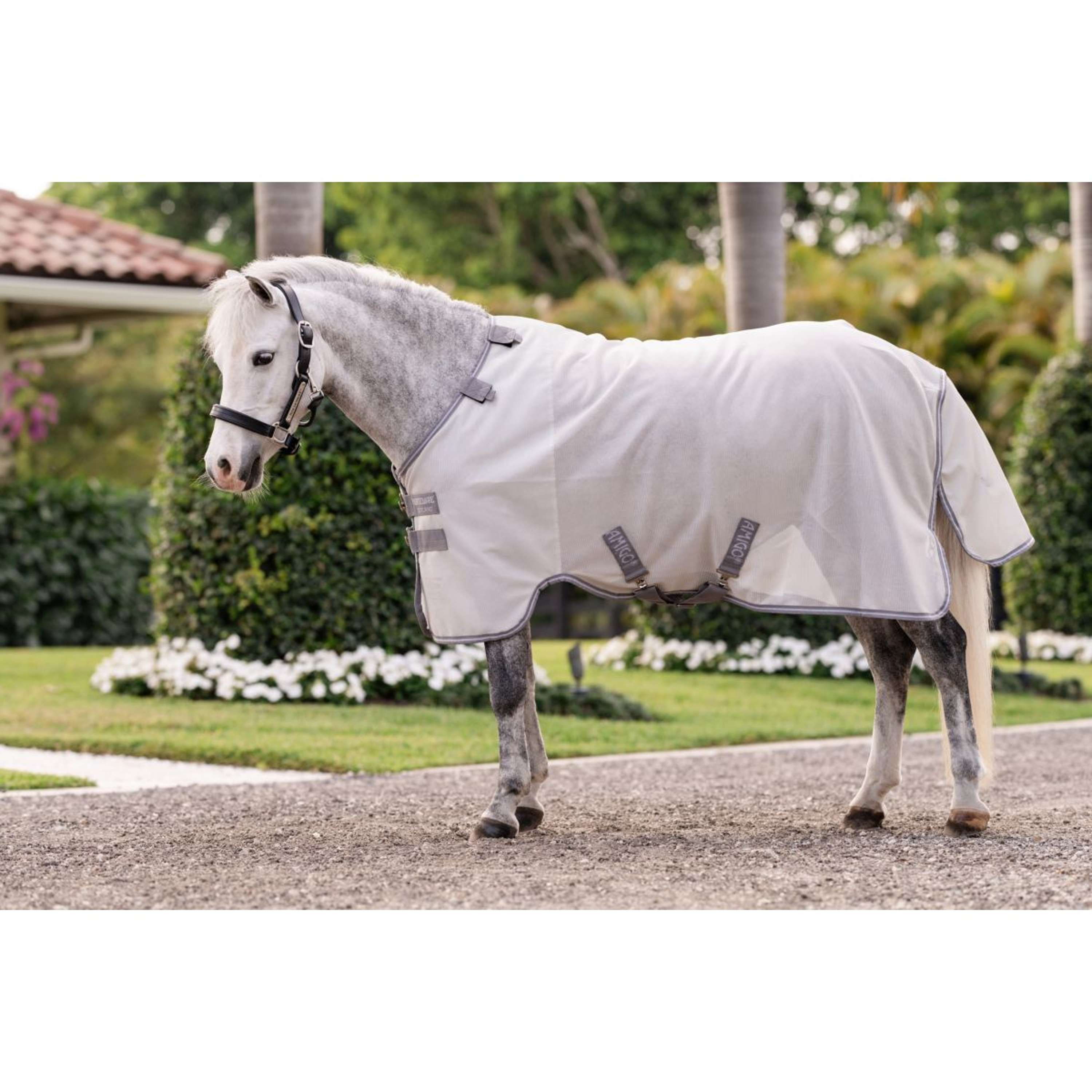 Amigo Bug Rug Plus Pony Silver/Titanium Grey/Silver