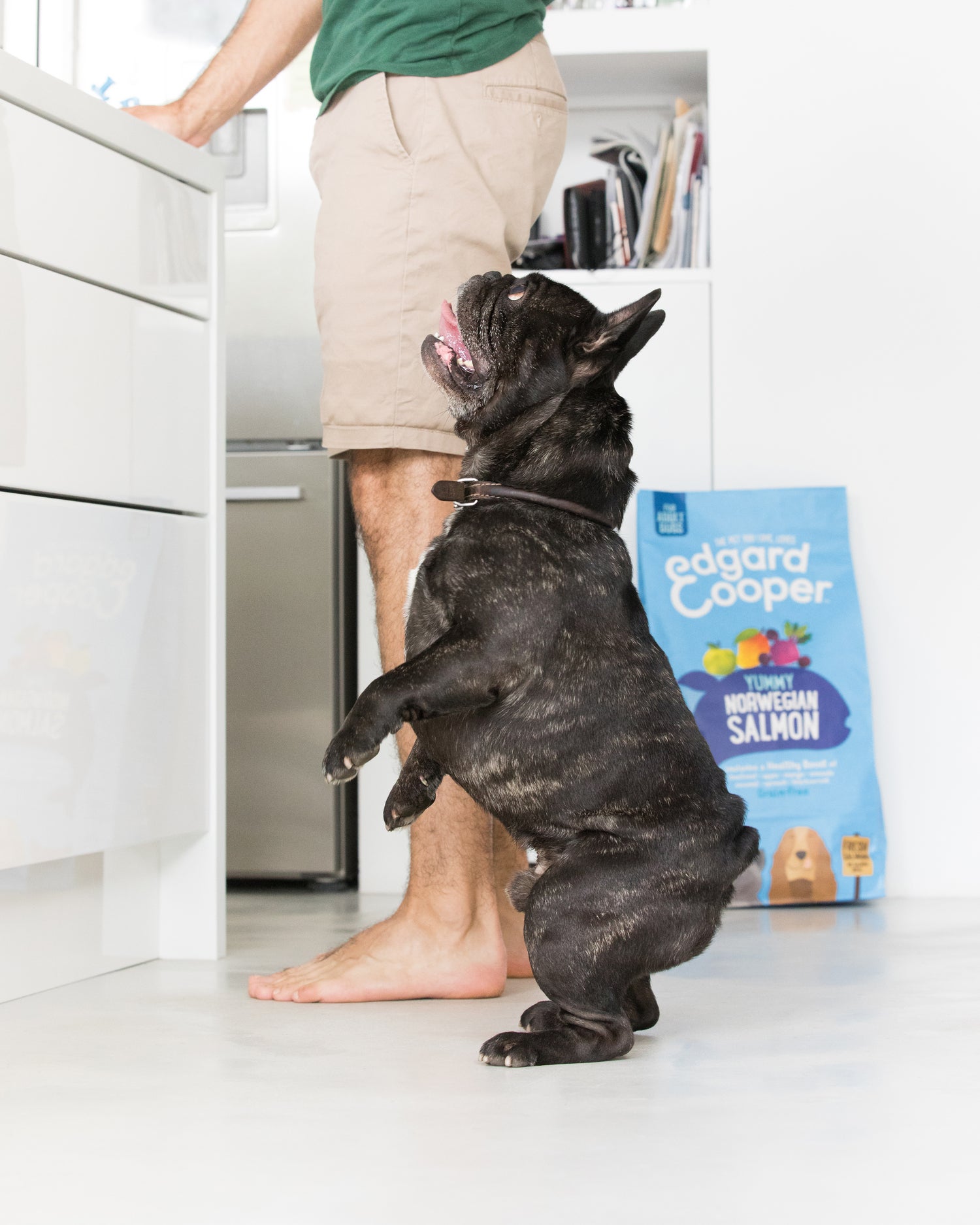 Edgard & Cooper hondenvoer verse Noorse zalm adult 12 kg