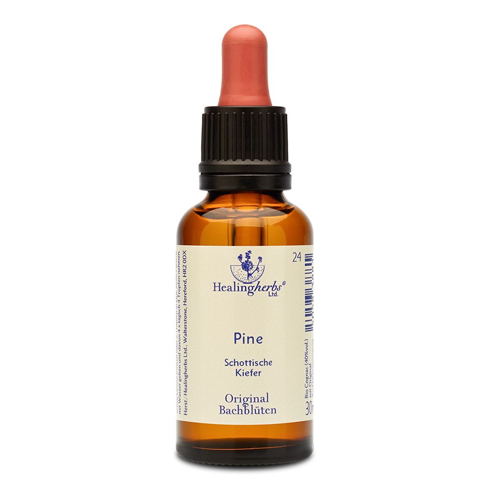 Healing Herbs Pine Original Bachblüten Tropfen