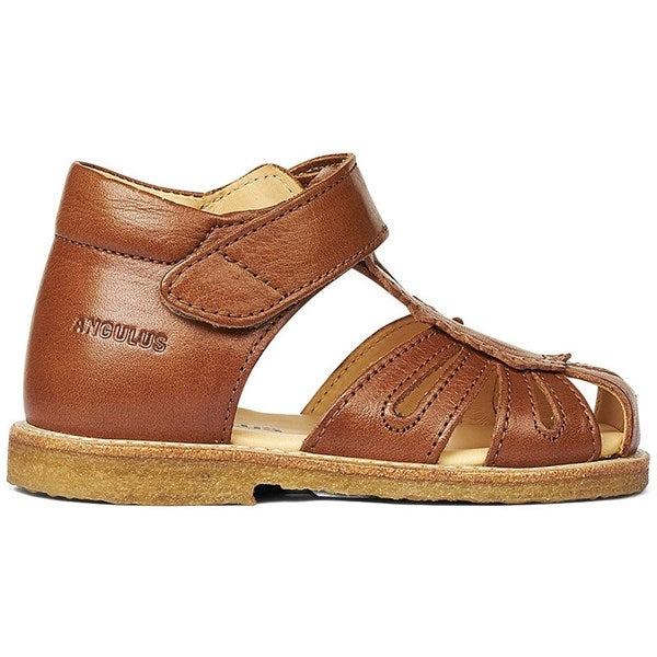 Begynder Sandal M. Velcrolukning Cognac