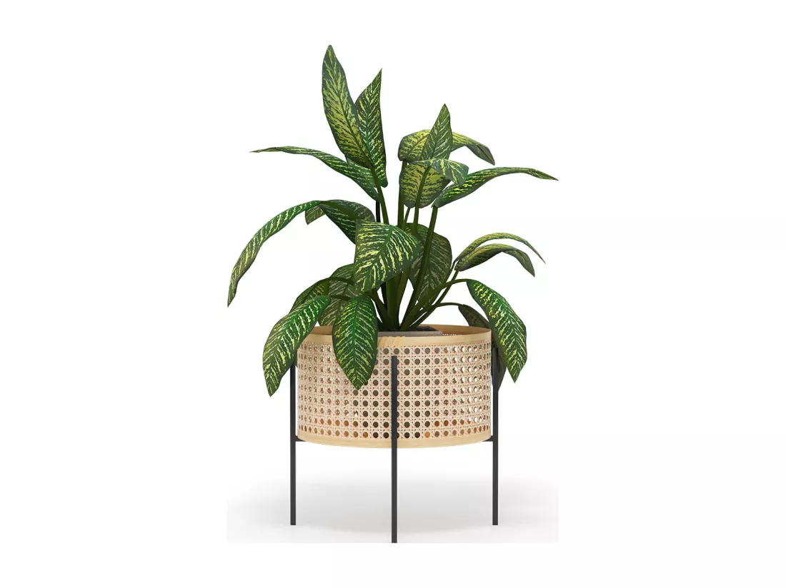 Pot de Sol Rond - Style Boho - Fusión Naturel