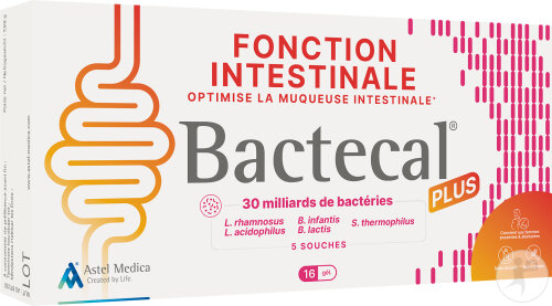 Bactecal Plus Fonction Intestinale Équilibrée Complément Alimentaire Naturel 16 Gélules