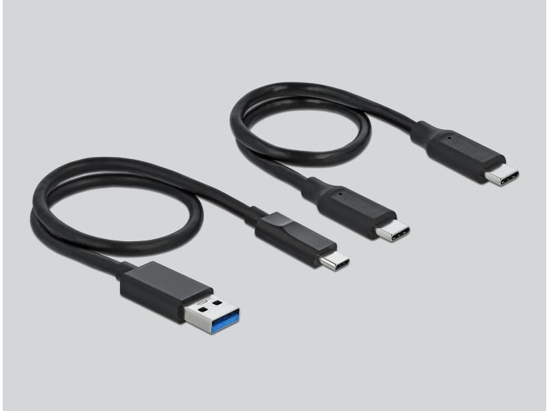 Delock Dockingsstation USB-C – M.2 NVMe Delock M.2 Dockingstation für M.2 NVMe PCIe SSD mit USB Type-C Buchse