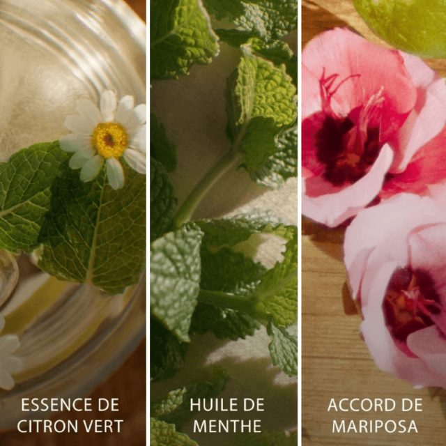 Brisa Cubana Eau de Toilette ESCADA