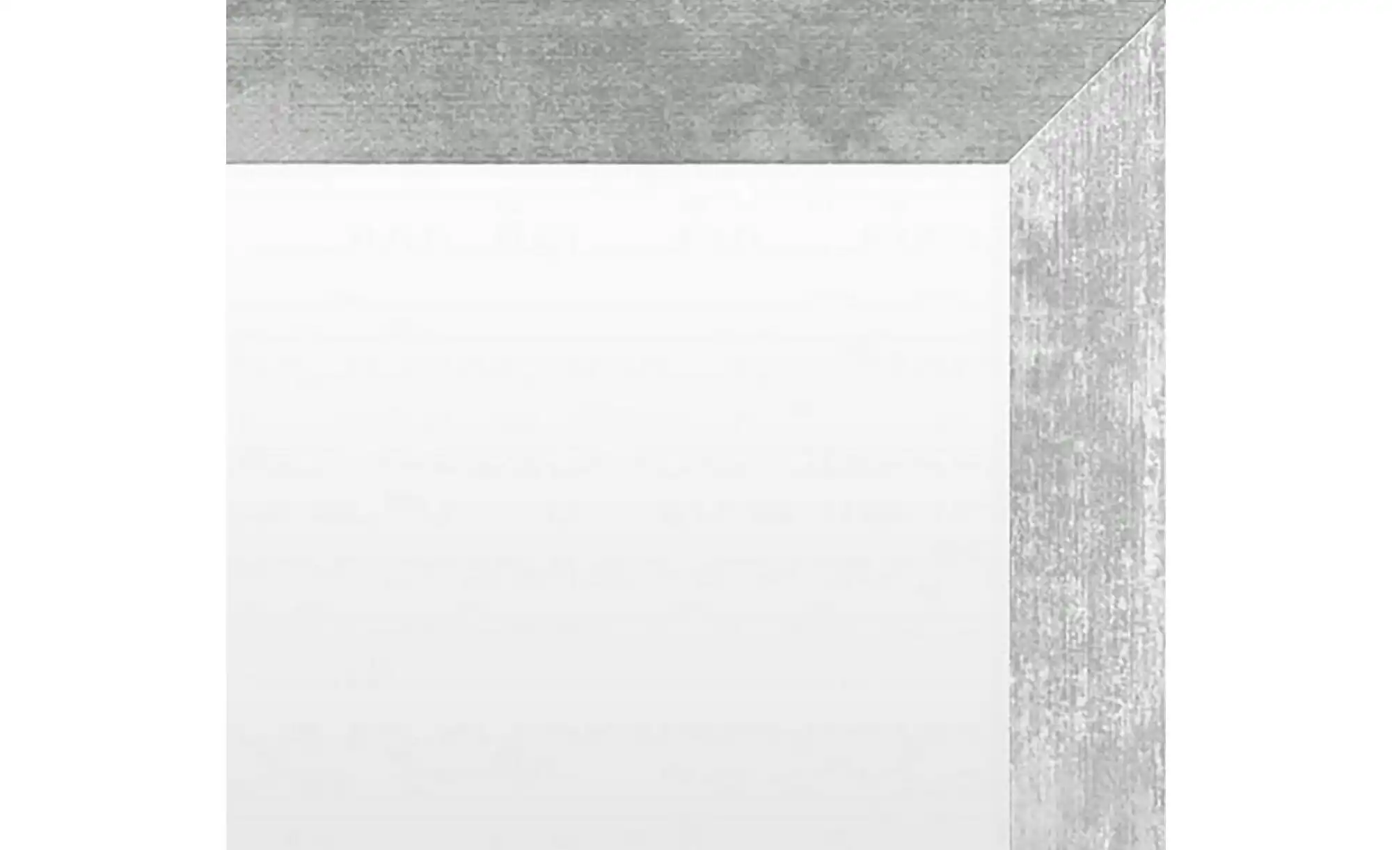 Spiegel 49 x 139 cm